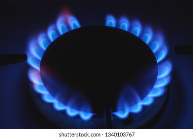Blue flame of the stove in the kitchen. Gas and energy concept - Shutterstock ID 1340103767