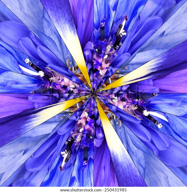Blue Flower Center Symmetric Collage Made of\
Collection of Various Wildflowers. Pieces are Divided into\
Symmetric pieces.