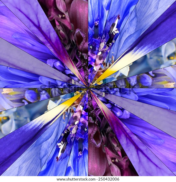 Blue Flower Center Symmetric Collage Made of\
Collection of Various Wildflowers. Pieces are Divided into\
Symmetric pieces.