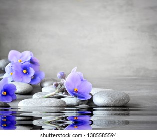 Blue Flower And Stone Zen Spa On Grey Background.