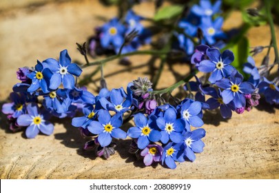 Collage West Australian Rare Purple Blue Stock Photo (Edit Now) 157072742