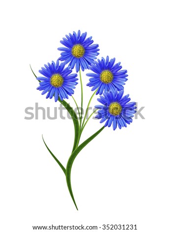 Similar – Image, Stock Photo An isolated blue flower in the green grass