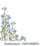 Blue forget-me-not flowers in a corner floral arrangement isolated on white background