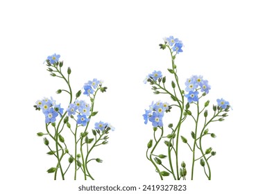 Blue forget-me-not flowers in a floral arrangements isolated on white
