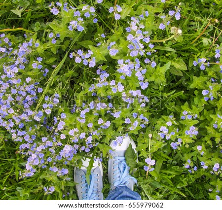 Blaues Blumenbeet mit blauen Schuhen