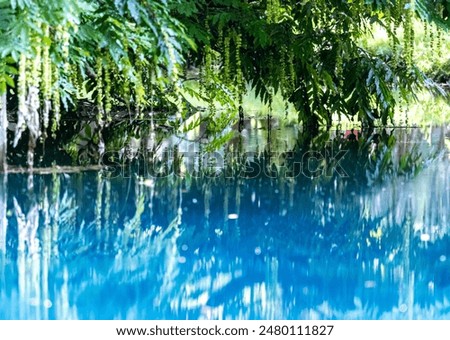 Similar – Pool with jungle