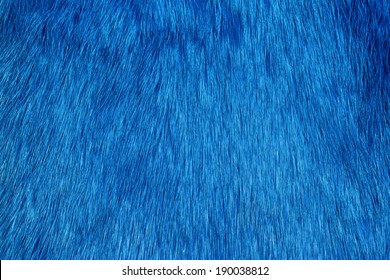 Blue Fur Background