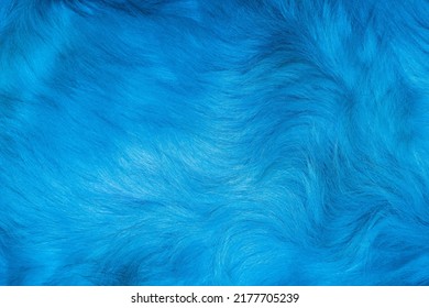 Blue fur texture close-up beautiful abstract feather background