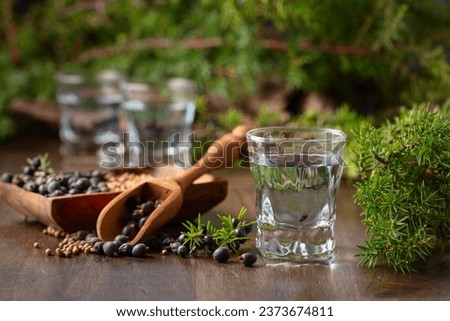 Blue gin and juniper branches on an old wooden table. Gin with ingredients - juniper berries and coriander seeds.
