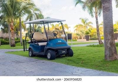 BLUE GOLF CART PARKED ON GREEN GRAM IN OUTDOOR COUNTRY CLUB AND SPACE FOR TEXT