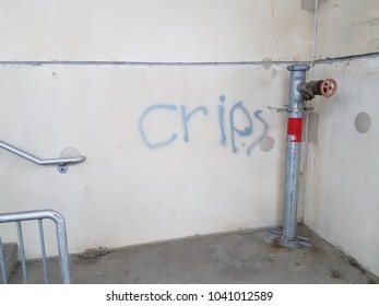 Blue Graffiti On Grey Cement Wall Saying Crips