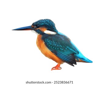 Blue Green Kingfisher Bird Isolated on White Background - Powered by Shutterstock