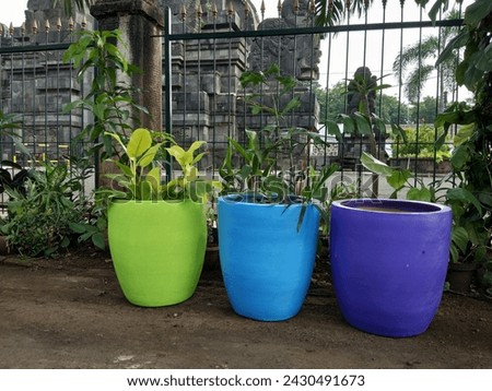 blue green violet decorative plant pots to decorate homes and outdoor gardens
