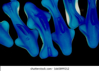 Blue Gummy Shark Candy On Black Background