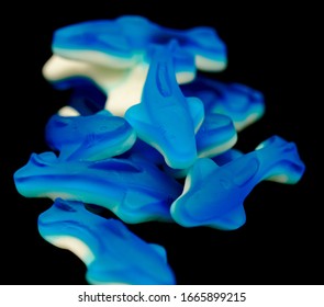 Blue Gummy Shark Candy On Black Background