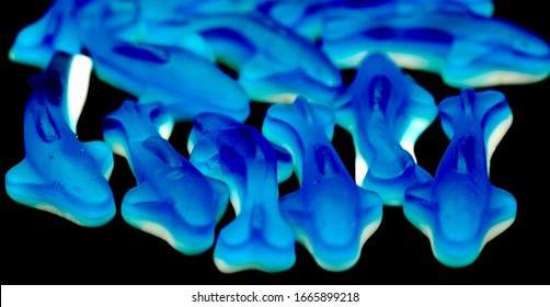 Blue Gummy Shark Candy On Black Background