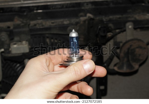 A blue\
halogen light bulb in the man\'s hand.  A professional worker\
changes the new halogen lamps of the car. Car repair. The mechanic\
holds a blue halogen lamp in his hand in\
close-up.