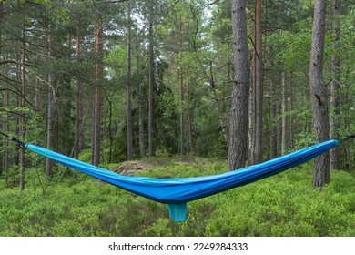 A blue hammock hanging between trees in the forest. Having a rest during hiking.