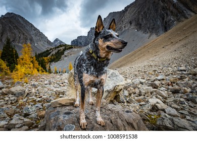 297 Chester lake hike Images, Stock Photos & Vectors | Shutterstock