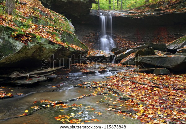 Blue Hen\
Falls. Image of Blue Hen Falls in\
autumn.