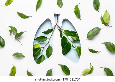 Blue Hole Lungs And Green Twigs As Symbol Of Healthy Lungs. World Tuberculosis Day Or World Lung Day Concept. Minimal Paper Art.