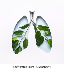 Blue Hole Lungs And Green Twigs As Symbol Of Healthy Lungs. World Tuberculosis Day Or World Lung Day Concept. Minimal Paper Art.