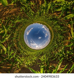 blue hole sphere little planet inside green grass round frame background