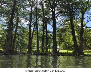 Blue Hole Of Texas Hill Country