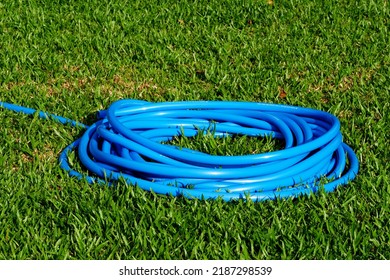 a blue hose laid on the lawn