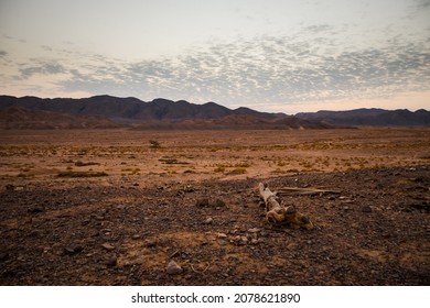 Blue hour after sunset behind the mountains in the desert, Egypt Sandy land in the foreground, rocky mountains in the background. Little clouds on the sky during the sunset. - Powered by Shutterstock