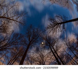 The Blue Hour Night Sky With Moving Clouds, Moon And A Few Stars