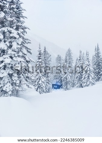 A blue house in the forest.Winter forest,lots of snow,deep snowdrifts.Winter landscape.The wilderness of the forest.