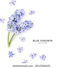 Blue hyacinth flower petals isolated on white background. Spring garden flowers bouquet. Easter decoration. Design element. Top view, flat lay. Creative layout
 - Powered by Shutterstock