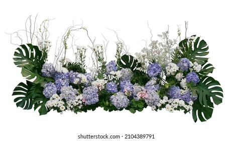 Blue Hydrangea and Chrysanthemum flowers with tropical green leaves Monstera and philodendron plant bush, floral arrangement nature wedding backdrop isolated on white background with clipping path.