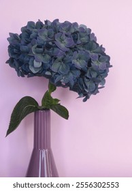 Flor hortensia azul en