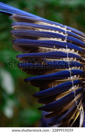blue indigenous headdress, indian in the forest with blue headdress, blue feather headdress
