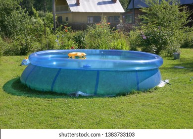 Blue Inflatable Round Swimming Pool On The Green Lawn