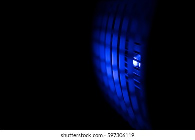 Blue Insect Killer Light 