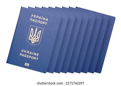 2,642 Ukrainian Biometric Passport Images, Stock Photos & Vectors 