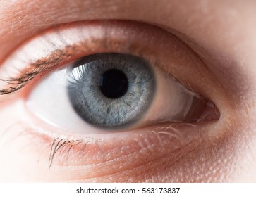 Blue Iris Eye. Macro Shot.