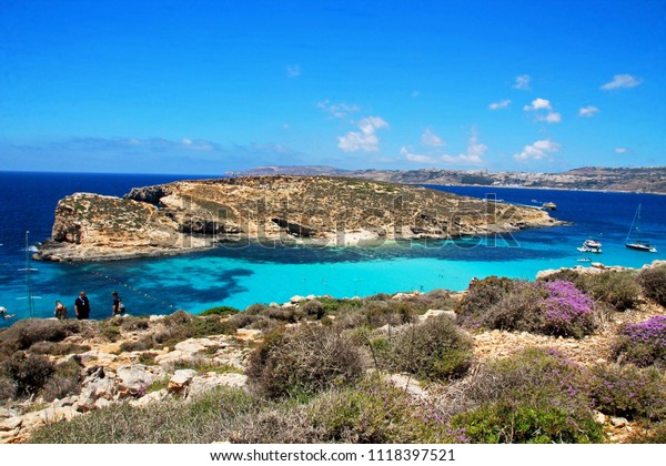 Blue Lagoon Comino Malta Picture Stock Photo Edit Now