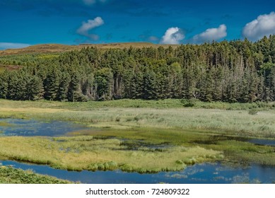 Blue Lagoon In Scotland Forest In England