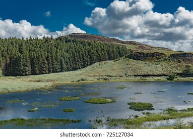 Blue Lagoon In Scotland Forest In England