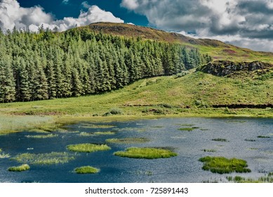 Blue Lagoon In Scotland Forest In England