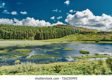 Blue Lagoon In Scotland Forest In England