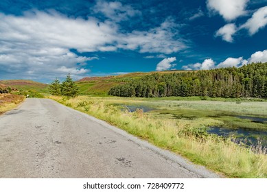 Blue Lagoon In Scotland Forest In England