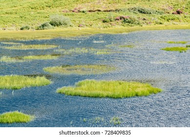 Blue Lagoon In Scotland Forest In England