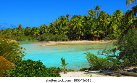 Blue Lagoon Tuamotu Islands French Polinesia