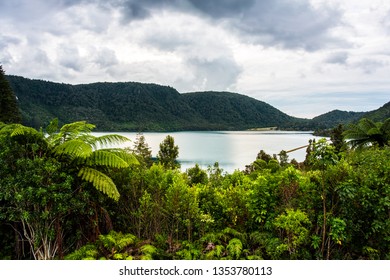 The Blue Lake, Rotorua 