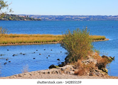 Blue Lake, Rotorua, New Zealand